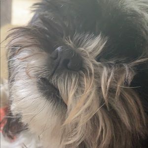 Meet your Posher, Dana